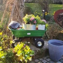 Chariot de jardin à main 75L vert avec benne basculante Remorque 4 pneus max 300 kg Jardinage